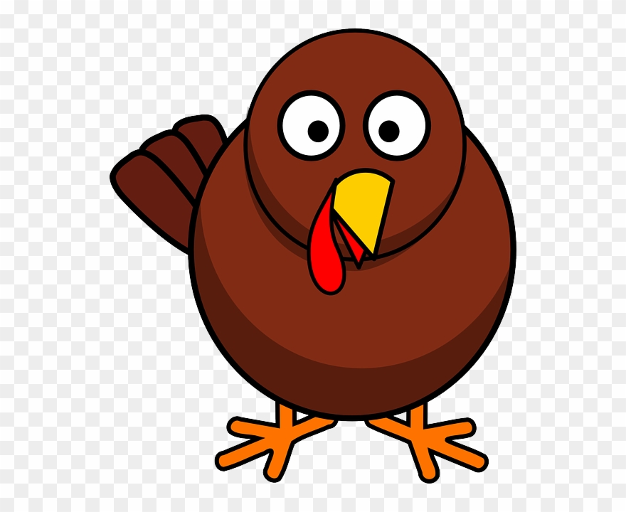 I Would Look For Aspen Trees With Holes Inside Them Clipart