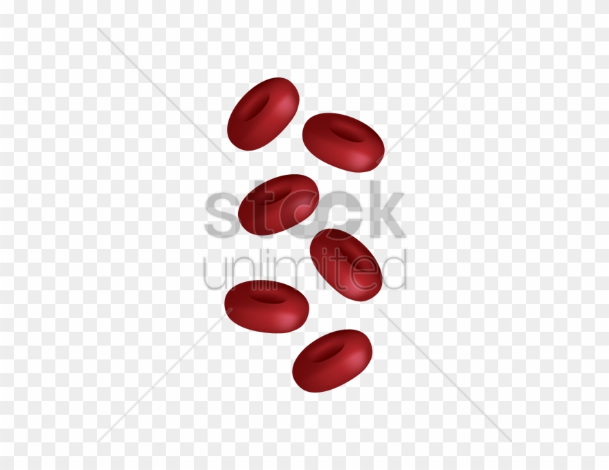 Close Up Clipart Close-up - Png Download