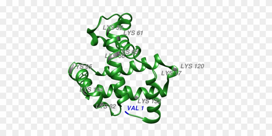 Figure 2 Shows The Glycation Sites Of A Glycated Hemoglobin Clipart