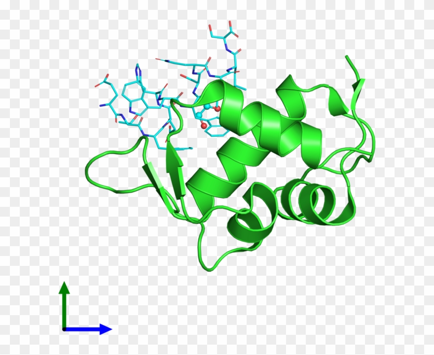 Ribbon Structure Of 3jzs Clipart