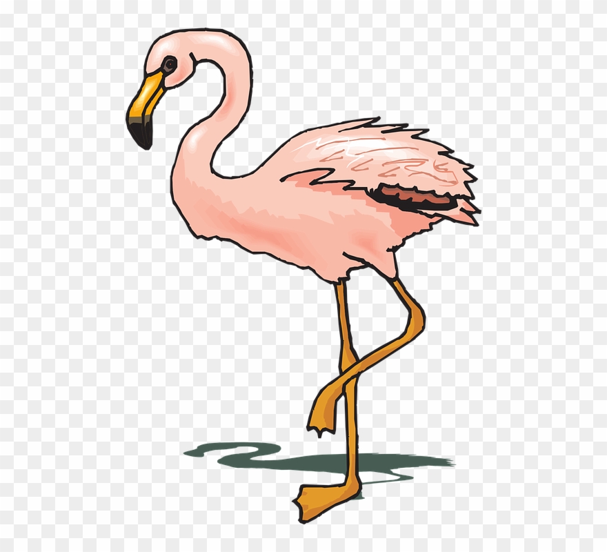 Flamingo Clipart Wings - Png Download