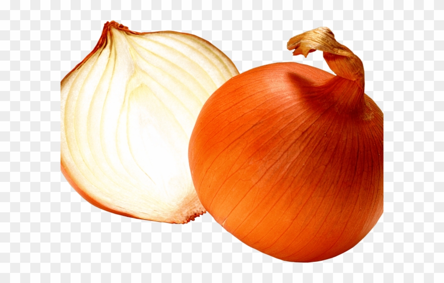 Onion Clipart Yellow Onion - Png Download
