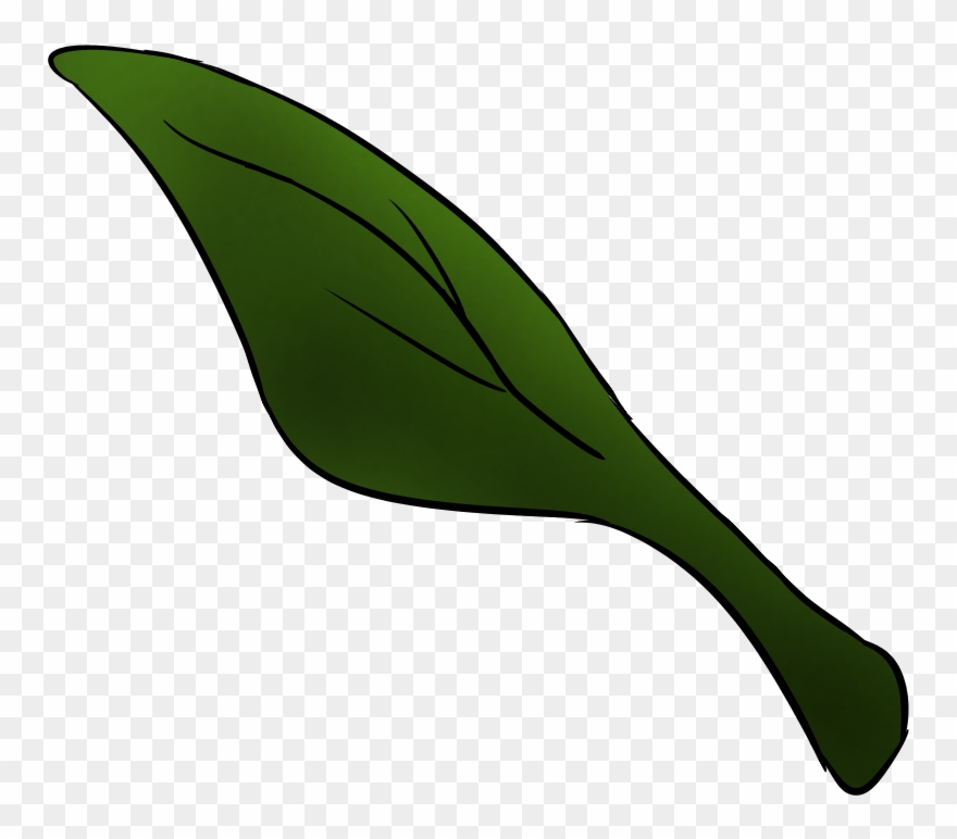 You And Flavrom Appear At The Open Grounds With A Light Clipart