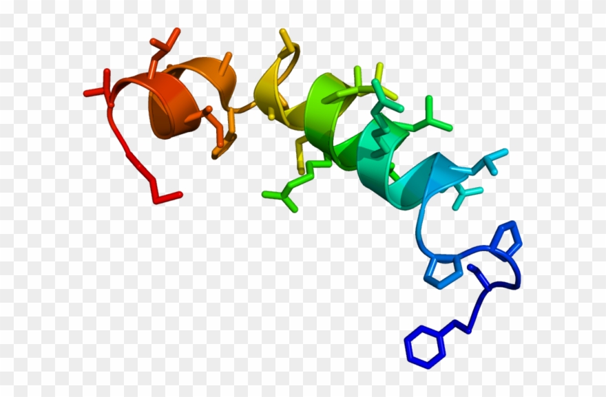 Neural Pathways To Sleep Clipart