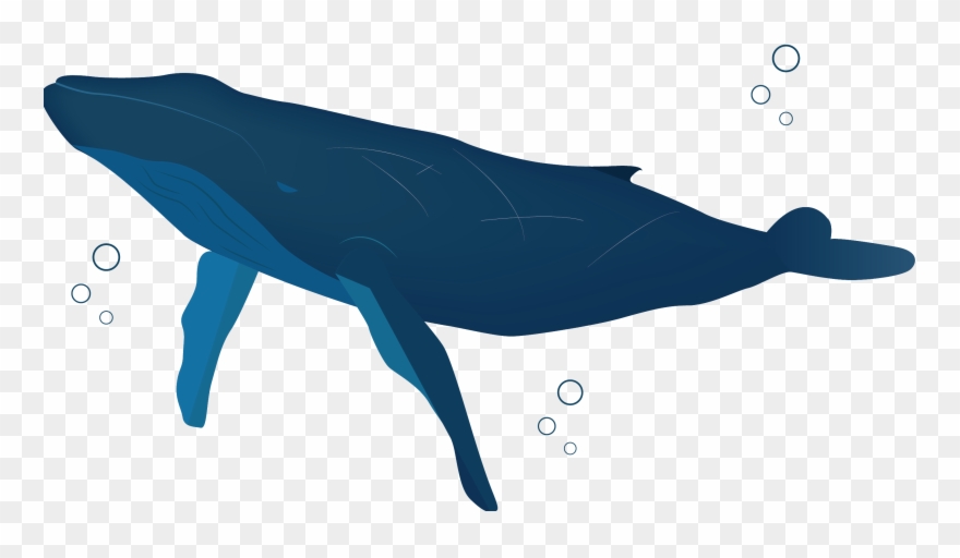 We Appreciate Your Support Clipart