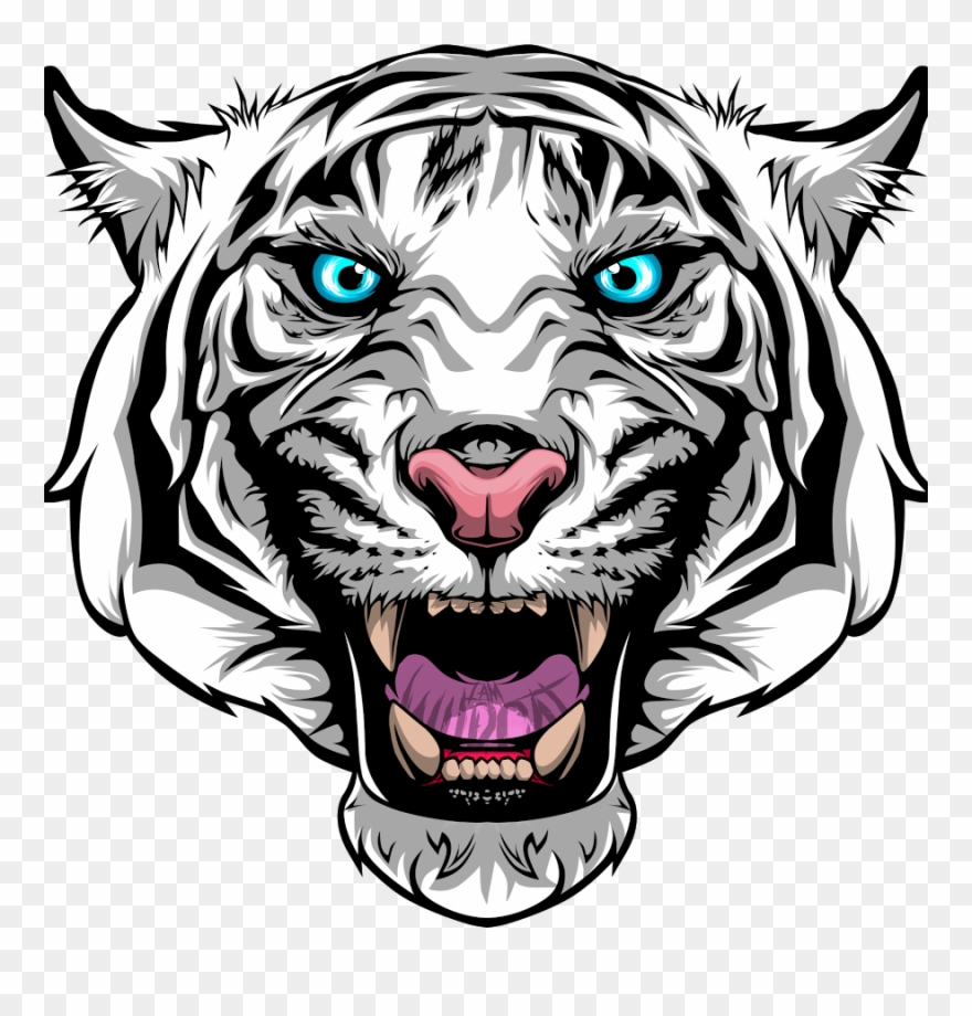 I Am Wildcat Wallpaper Wallpapersafari Vanossgaming Clipart