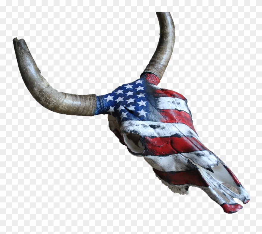 Home Kata Black Angus Bull Skull Of The Us Flag Clipart