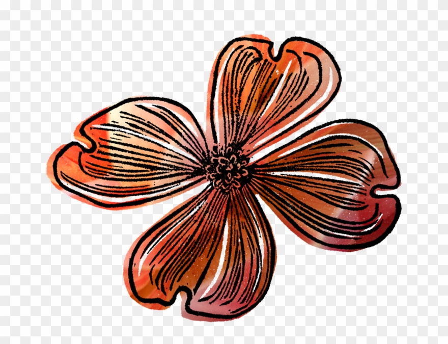 Dragonfly With 2016 Date Stamp Clipart