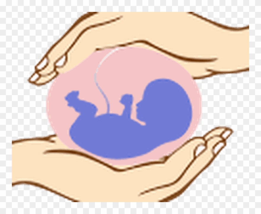101 Pregnancy Safety Tips Free Android Clipart
