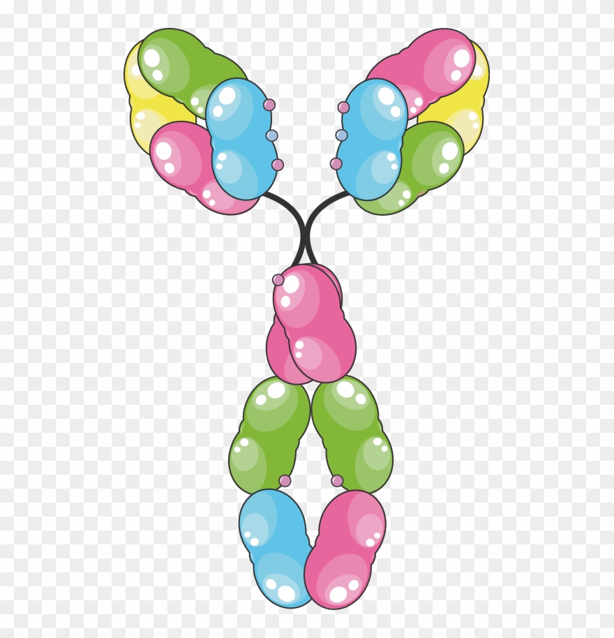 A Cochrane Review Concluded That The Drug Reduced Asthma Clipart