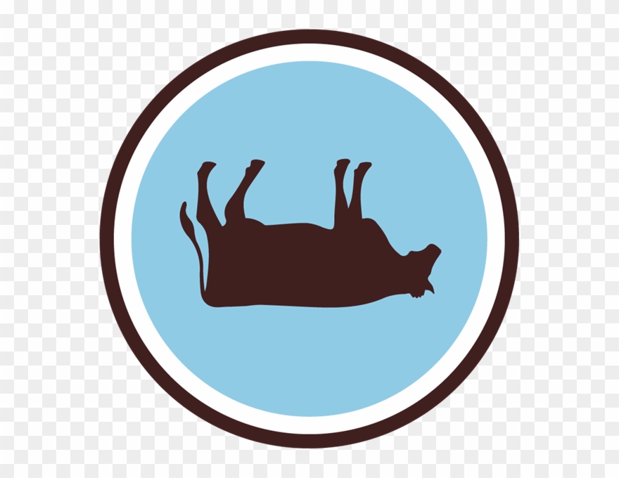 Singlespeed Brewing Co Clipart