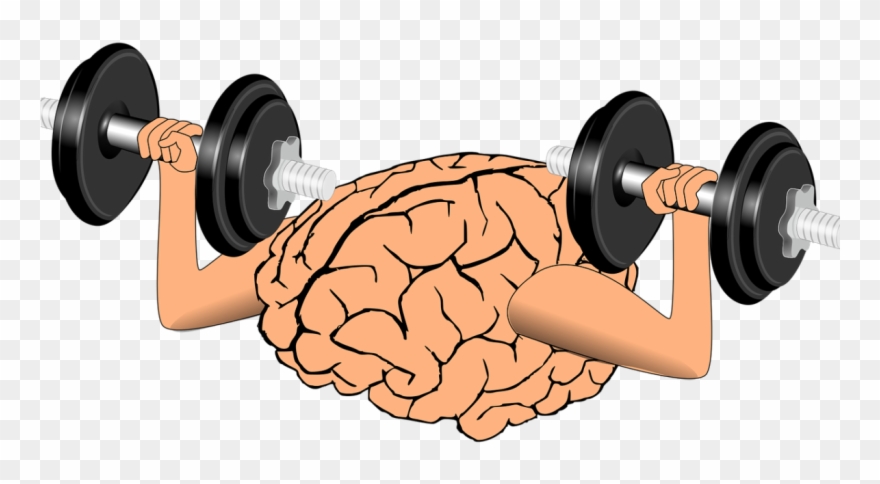 Clip Art Black And White Mindset Muscle Building Program - Png Download