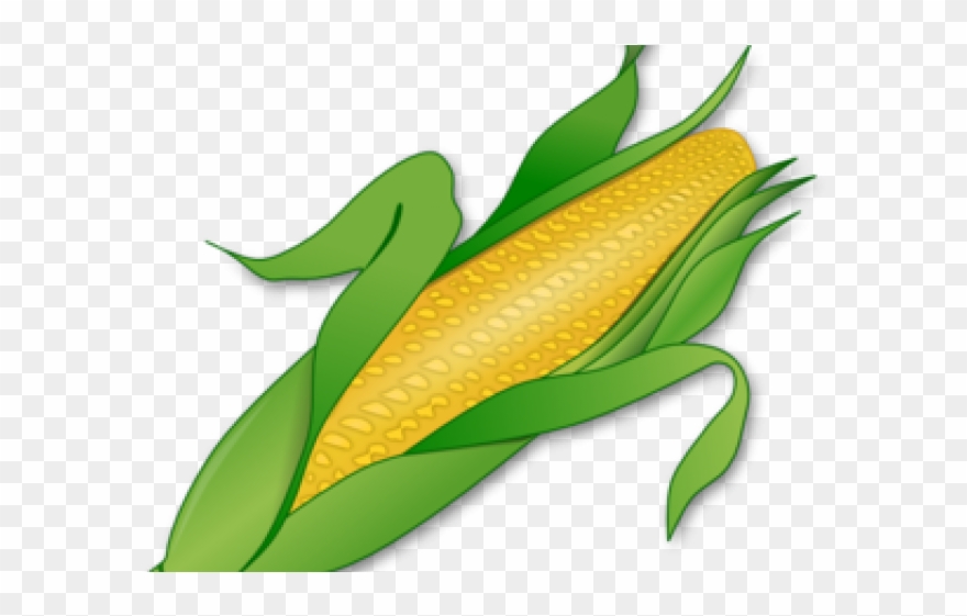 Corn Clipart Bit - Png Download