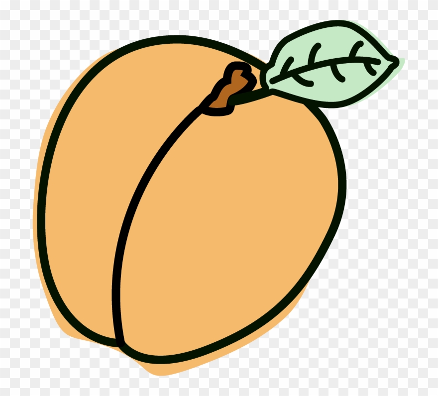 “fantasme” Apricot Sorbet Clipart