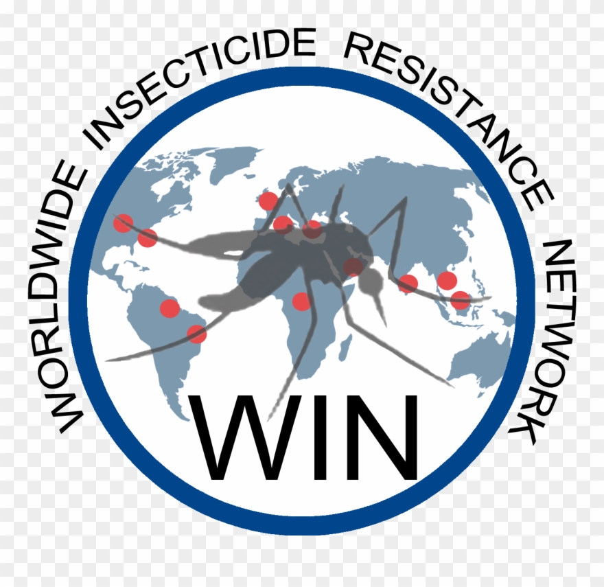 Clip Art Transparent Library Events Win Network Ird - Png Download