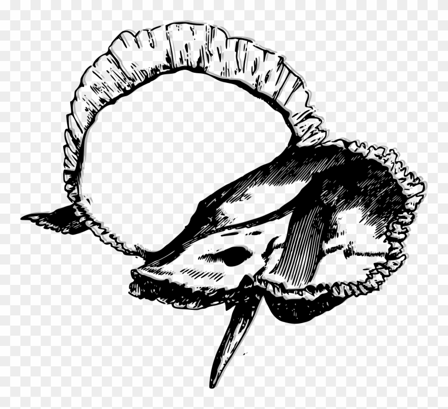 Medium Image Clipart