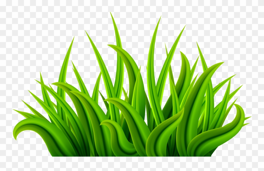 Whack Clipart - Png Download