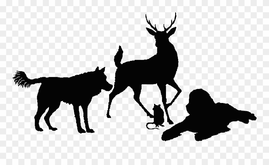 Silhouette Of A Young Red Stag, A Reclining Newfoundland, Clipart