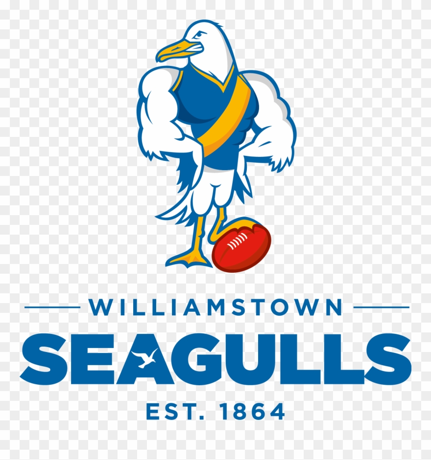 2016 Gulls Coterie Membership Clipart