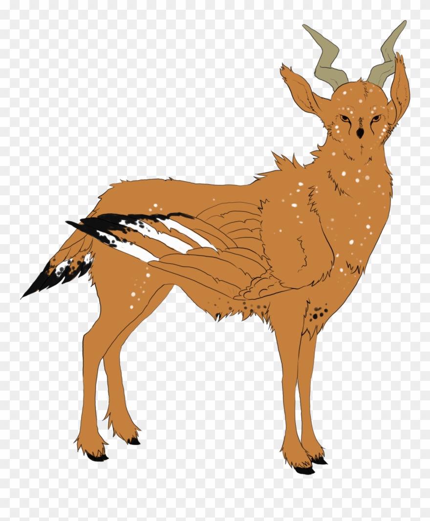 Dust, Spikenard, Coconut Oil, And Frankincense Clipart