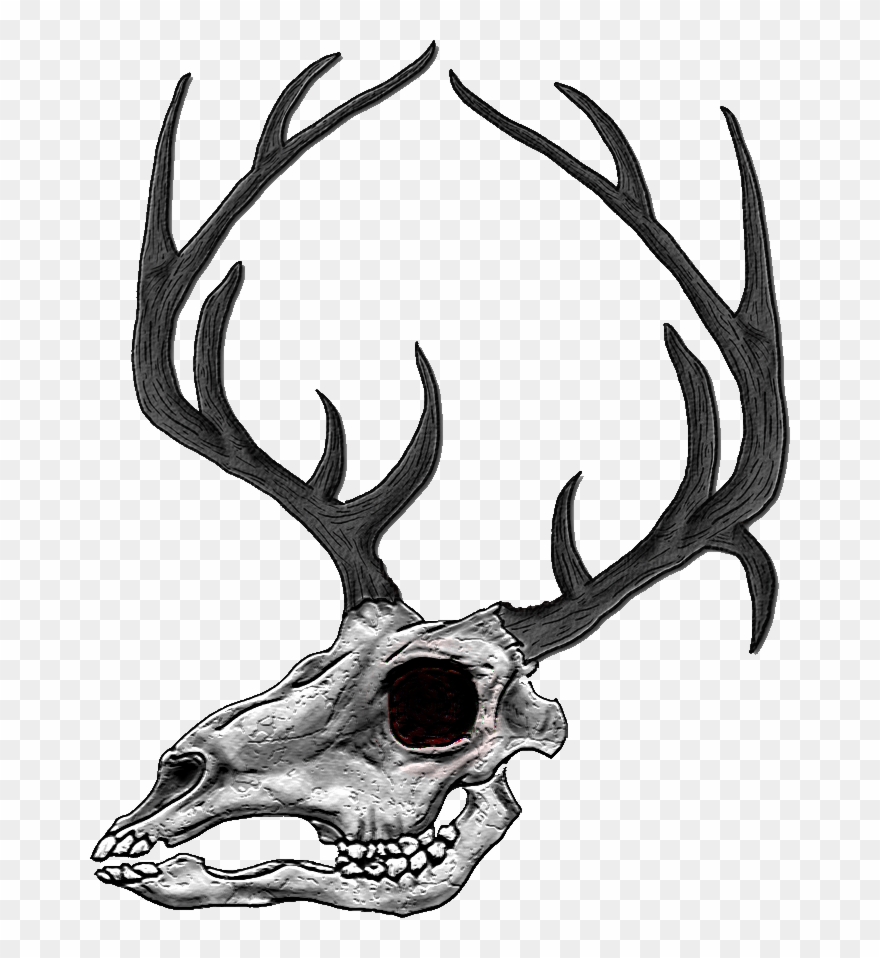 Ben Lee Dominate Buck North Georgia Bow Clipart