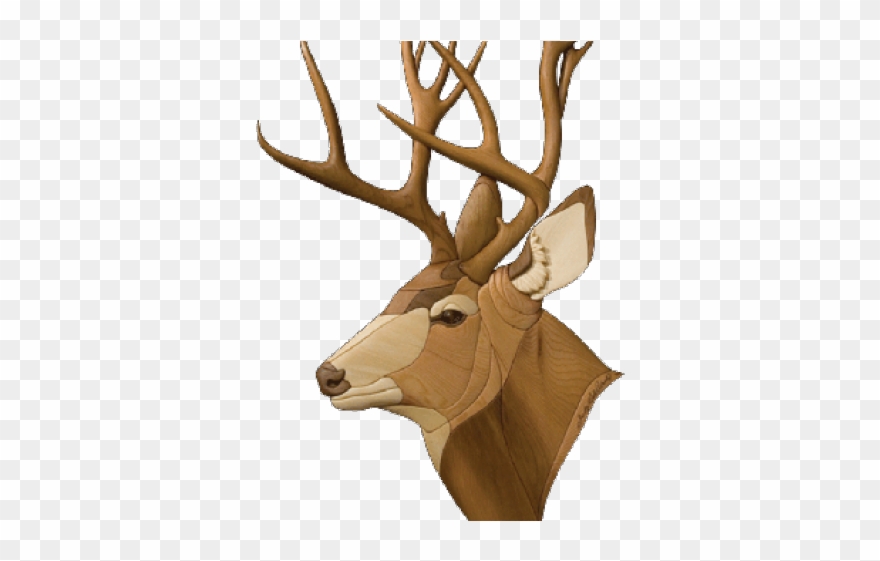 Stag Clipart Mule Deer - Png Download