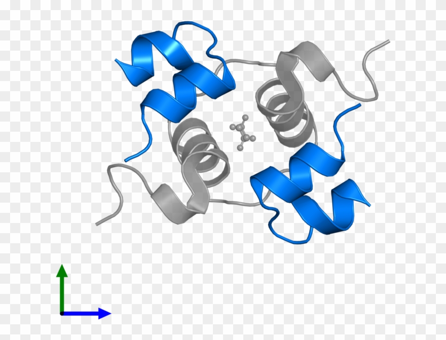 <div Class='caption-body'>pdb Entry 2ws1 Contains 2 Clipart