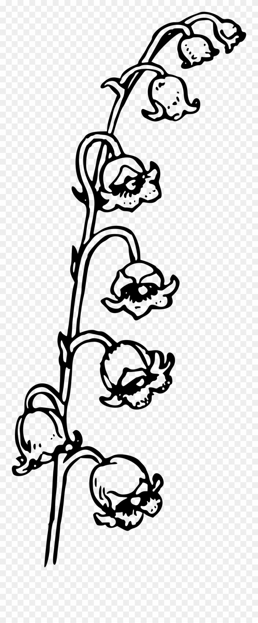 Lily Of The Valley Clip Art Clipart - Png Download