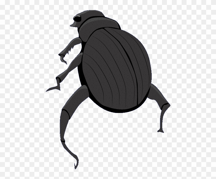 Dung Beetle Clipart Vector - Png Download