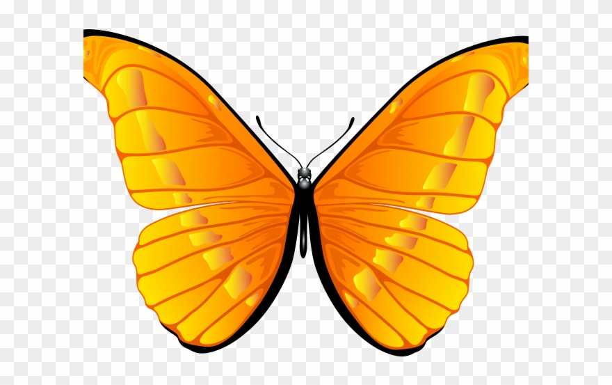 Butterfly Clipart Bird - Png Download