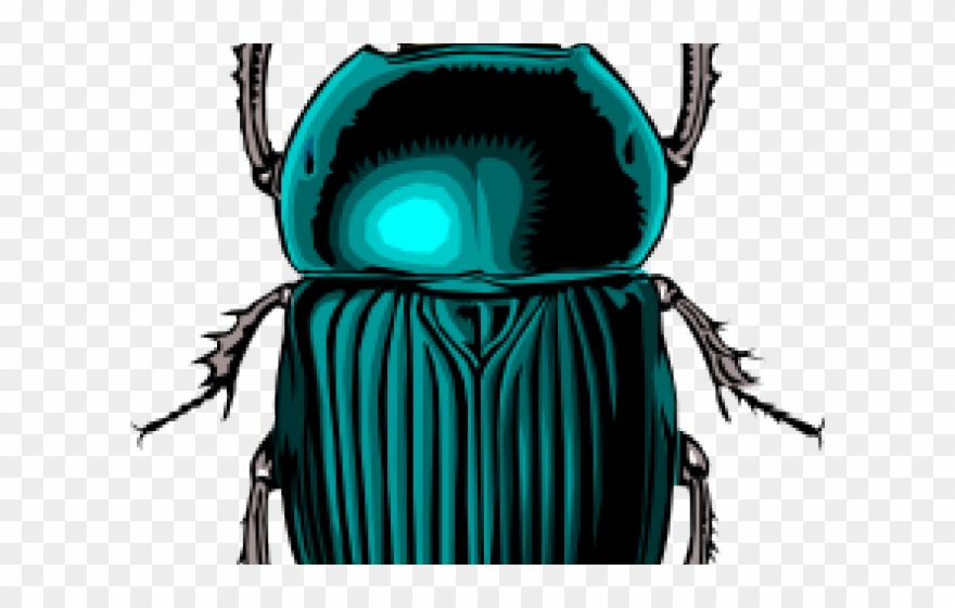 Beetles Clipart Blue Beetle - Png Download