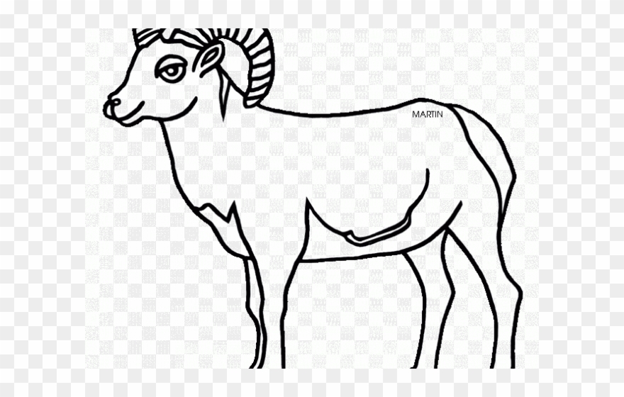 Bighorn Sheep Clipart Rocky Mountain - Png Download