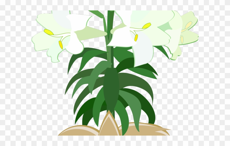 Easter Flower Clipart Holy Week - Png Download