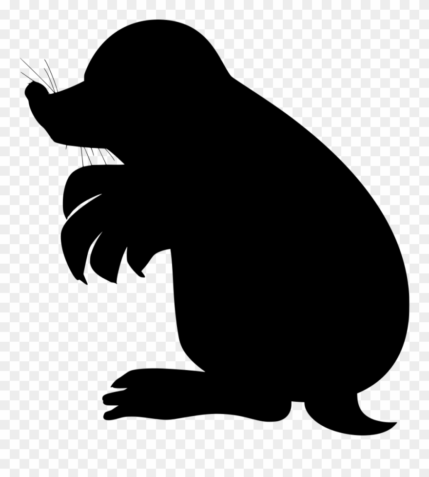 Info Clipart