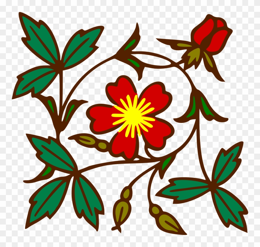 Medium Image Clipart