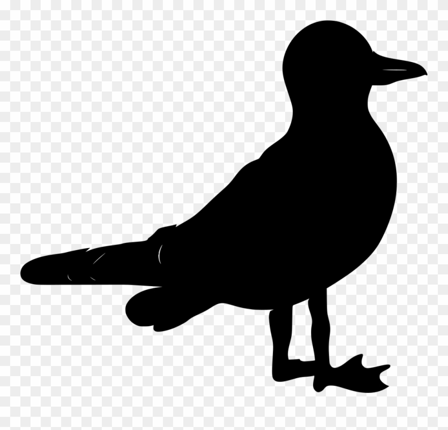 Info Clipart