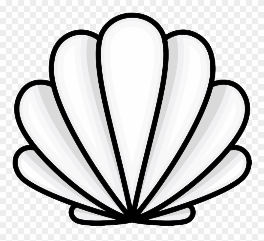 Oyster Seashell Drawing Cartoon Clipart