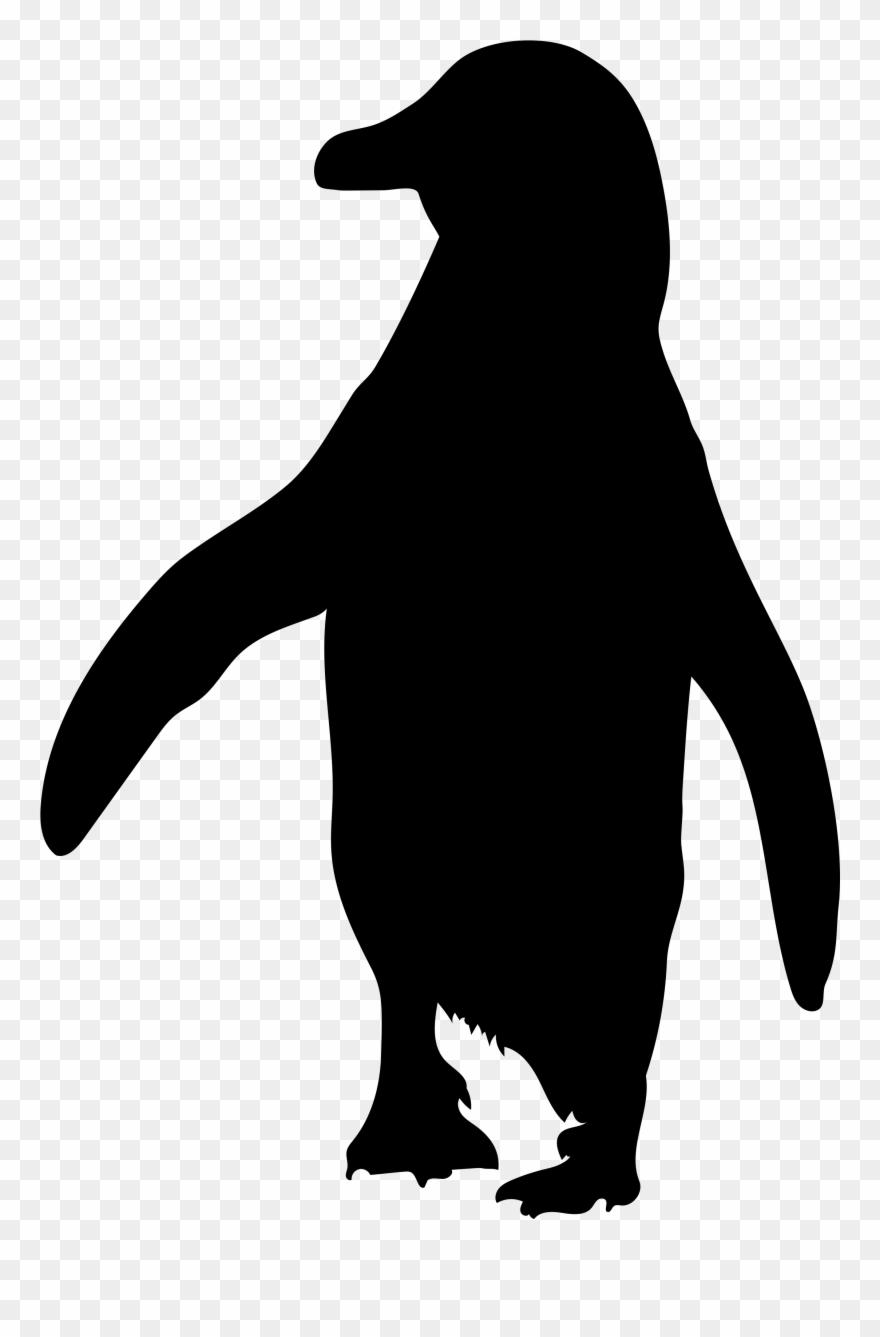Drawn Penguin African Penguin Clipart