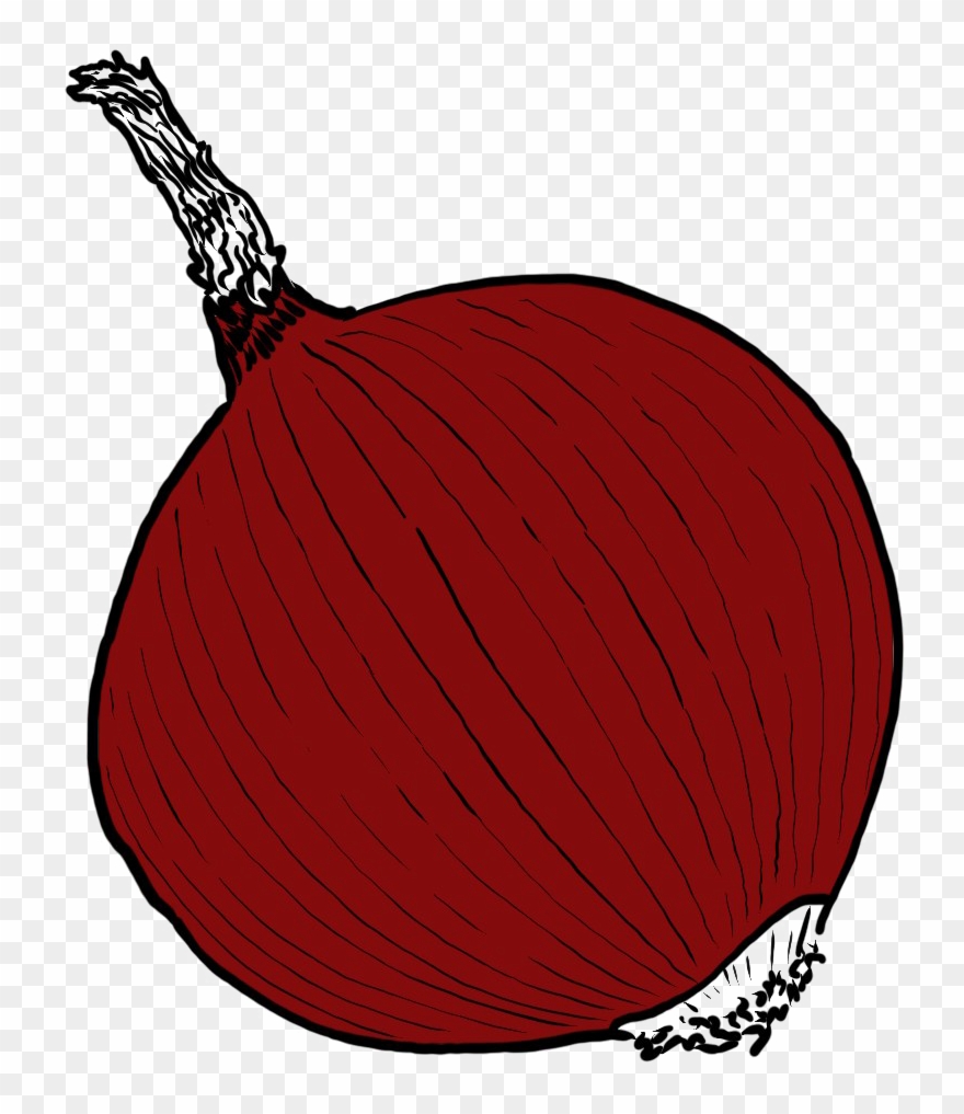 Single Onion Png Image Clipart