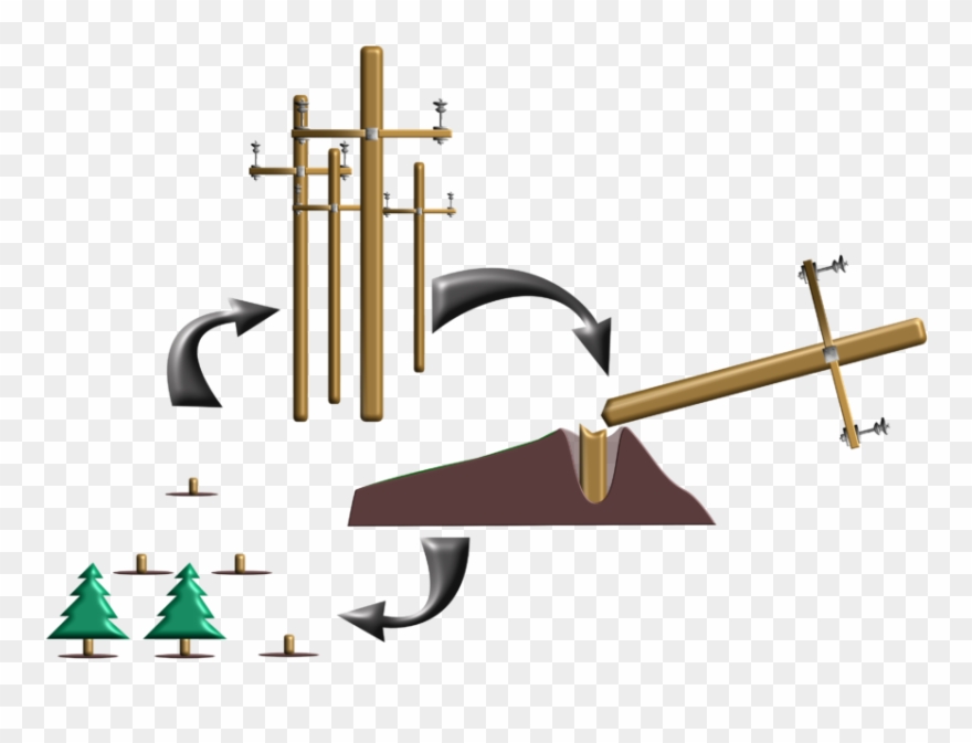 The Science Of Wood Protection Clipart