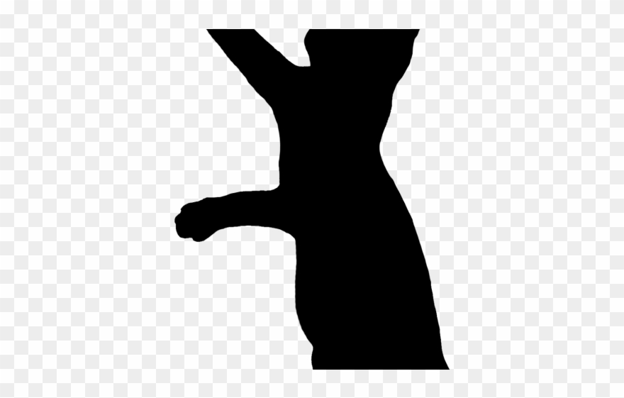 Cat Clipart Exercise - Png Download