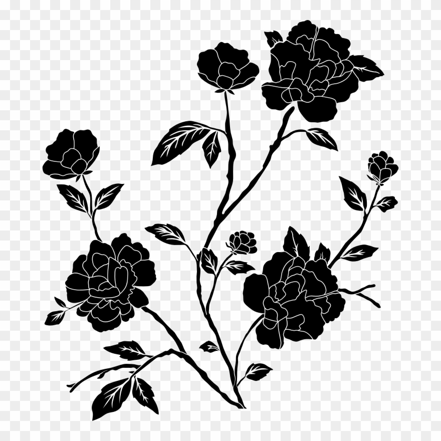 Medium Image Clipart
