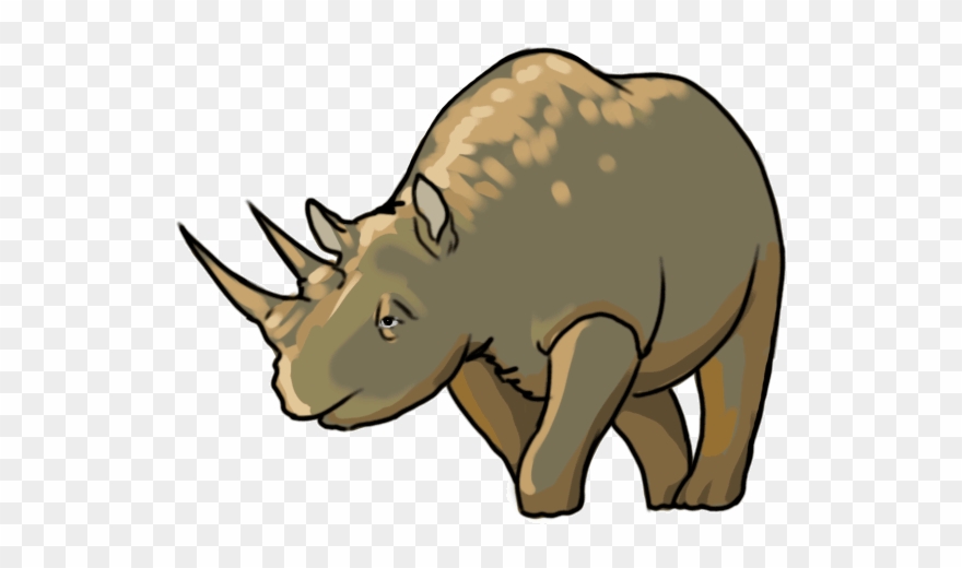 How To Draw Rhinoceros Step By Step Clipart