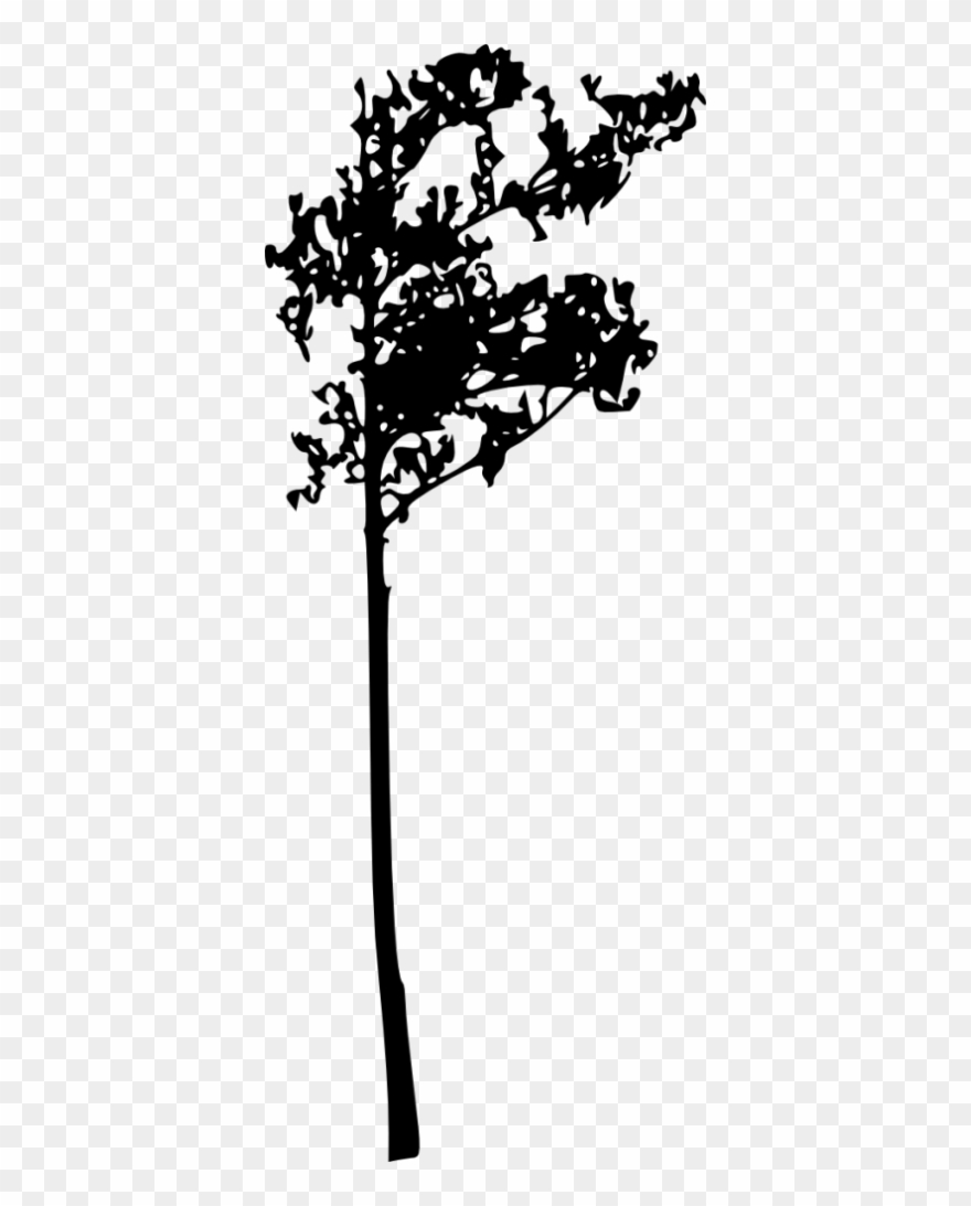 Tree Silhouette Clipart