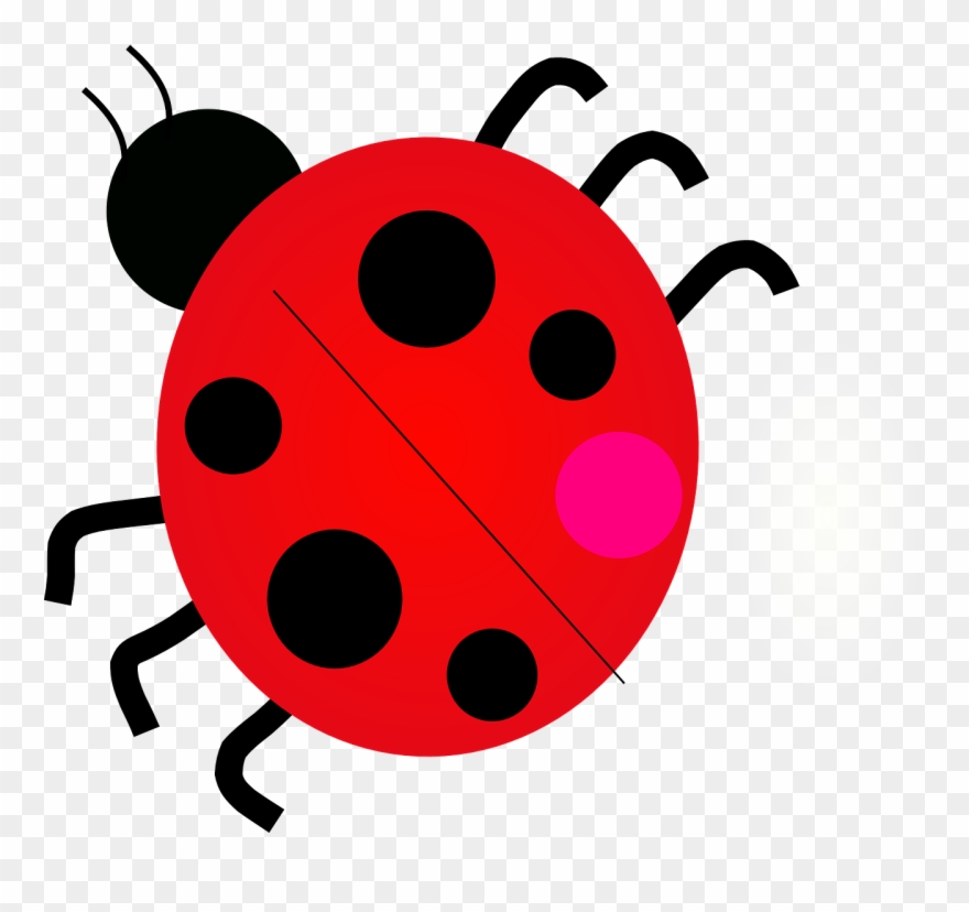 Junebug Ladybug Ladybird Beetle Png Image Clipart