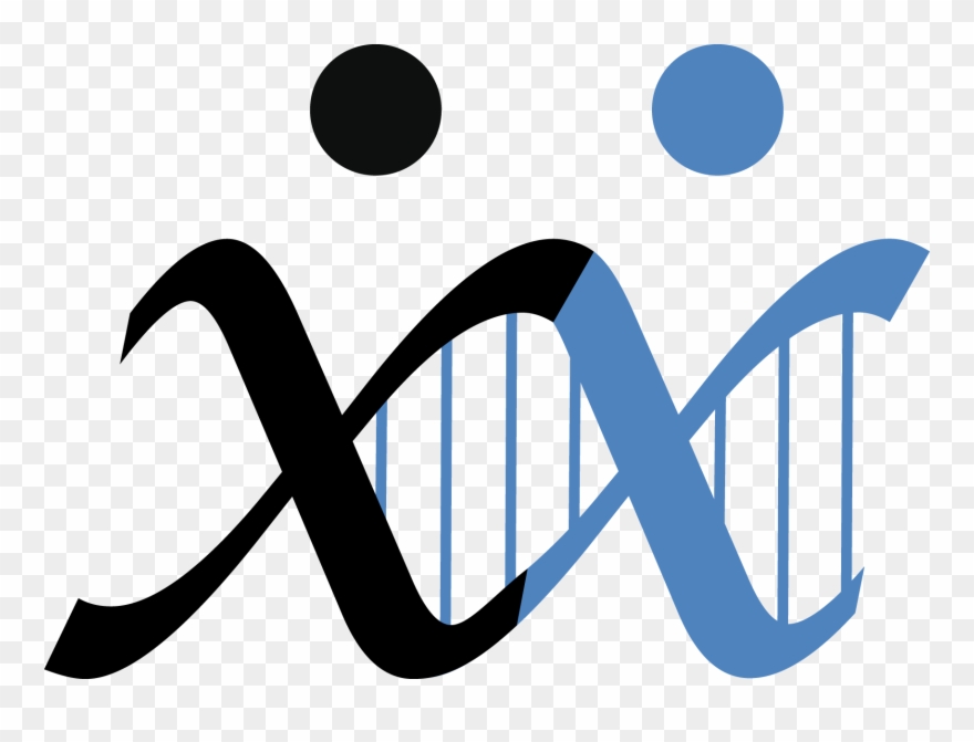 Data Analysis And Modeling Of Dynamic Processes In Clipart