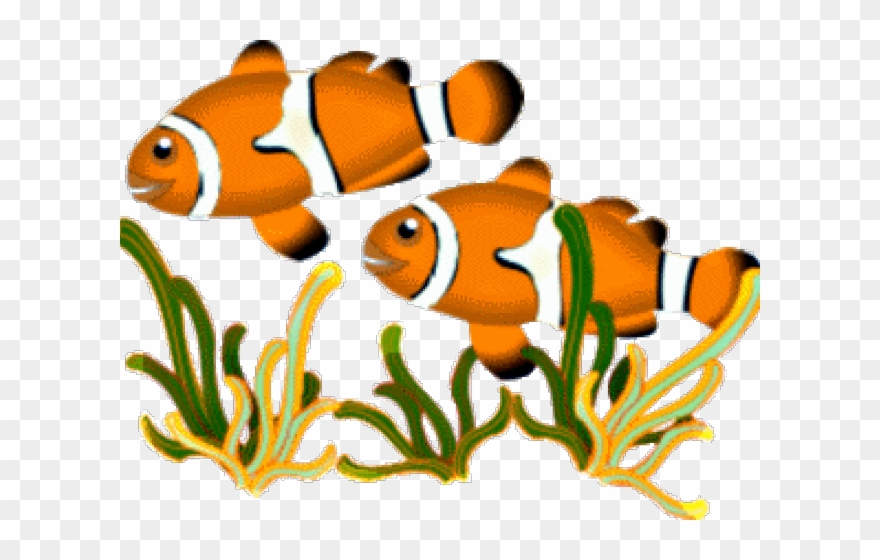 Marine Fish Clipart Single Fish - Png Download