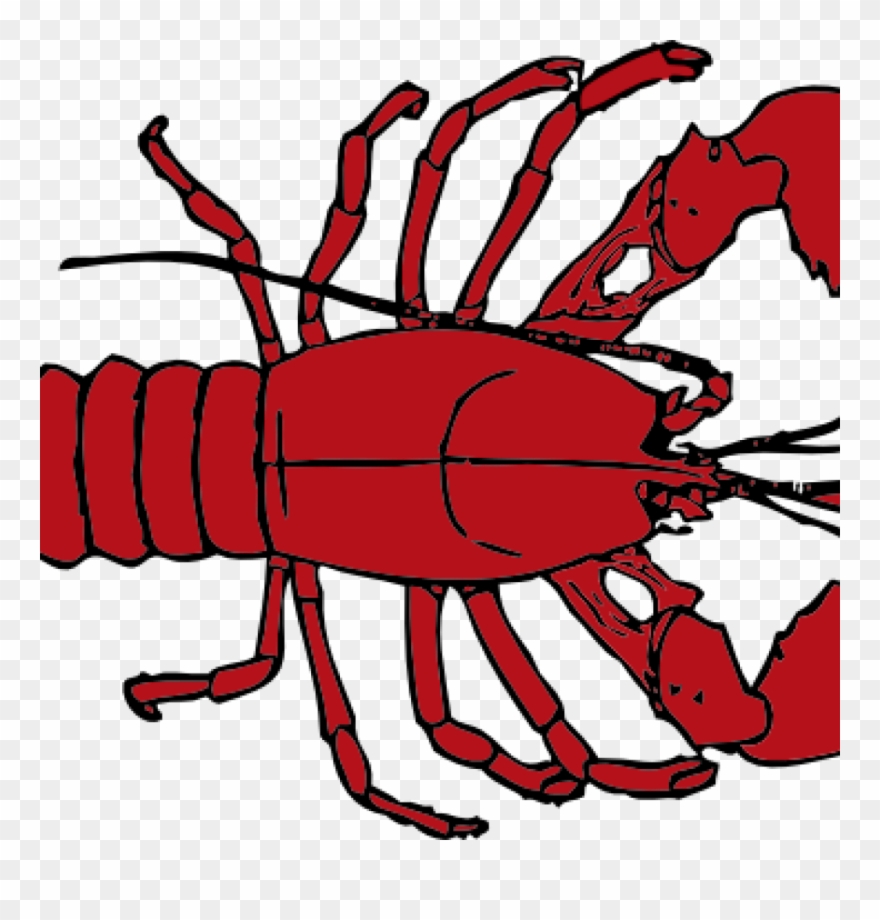 Lobster Outline Clip Art At Clker Vector Online Classroom - Png Download