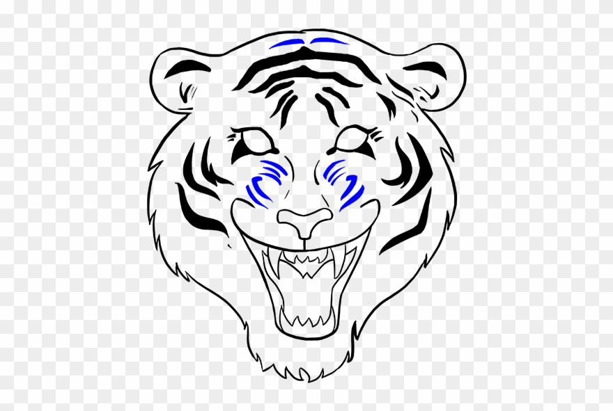 Drawn White Tiger Mouth Open Drawing Clipart