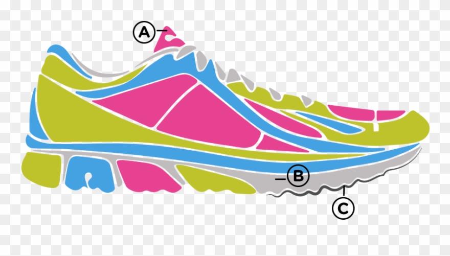 Anatomy Running Shoe Clipart
